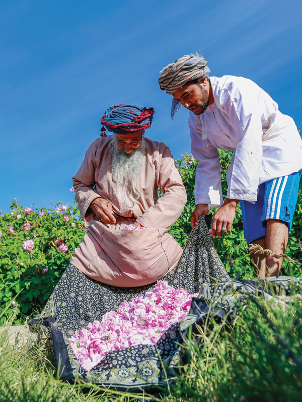 Book a Rose Experience through Alila Jabal Akhdar hotel 